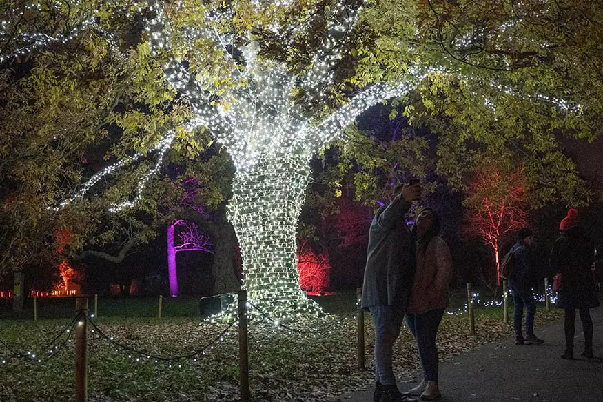 Proposal photography at Kew Gardens
