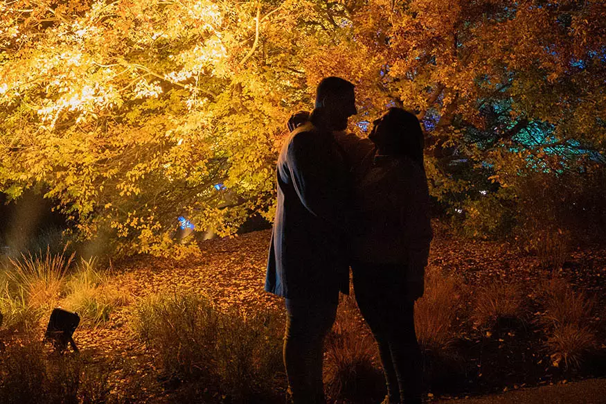 Proposal photography at Kew Gardens