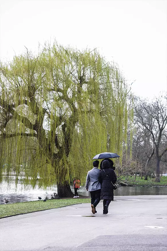 Proposal photography at Regents Park