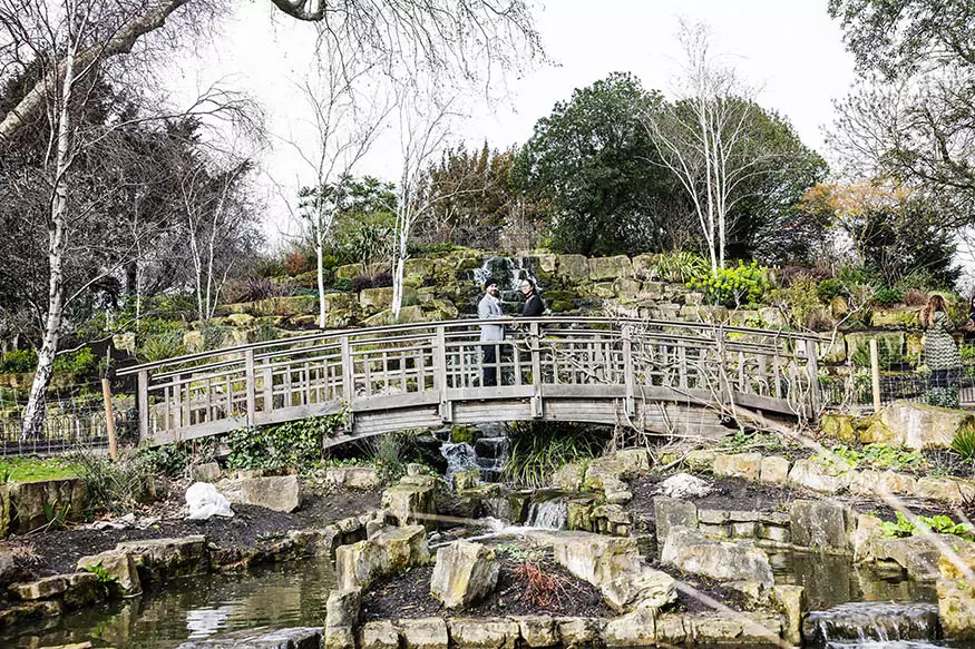 Proposal photography at Regents Park