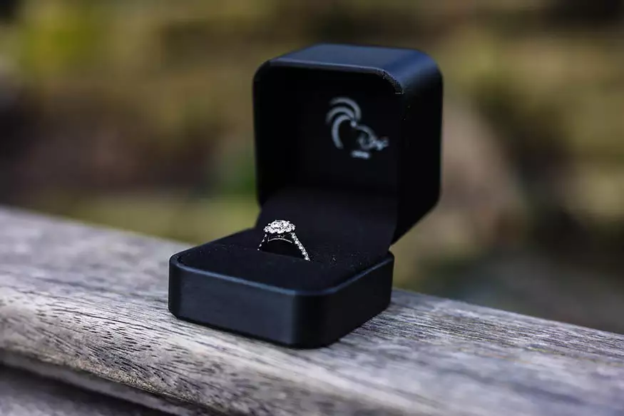 Proposal photography at Regents Park
