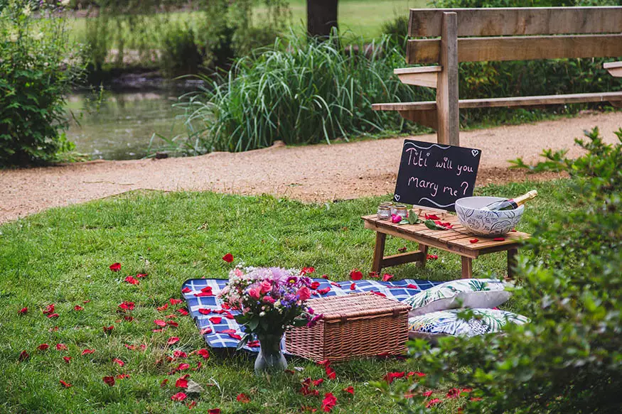 Proposal photography at Richmond Park