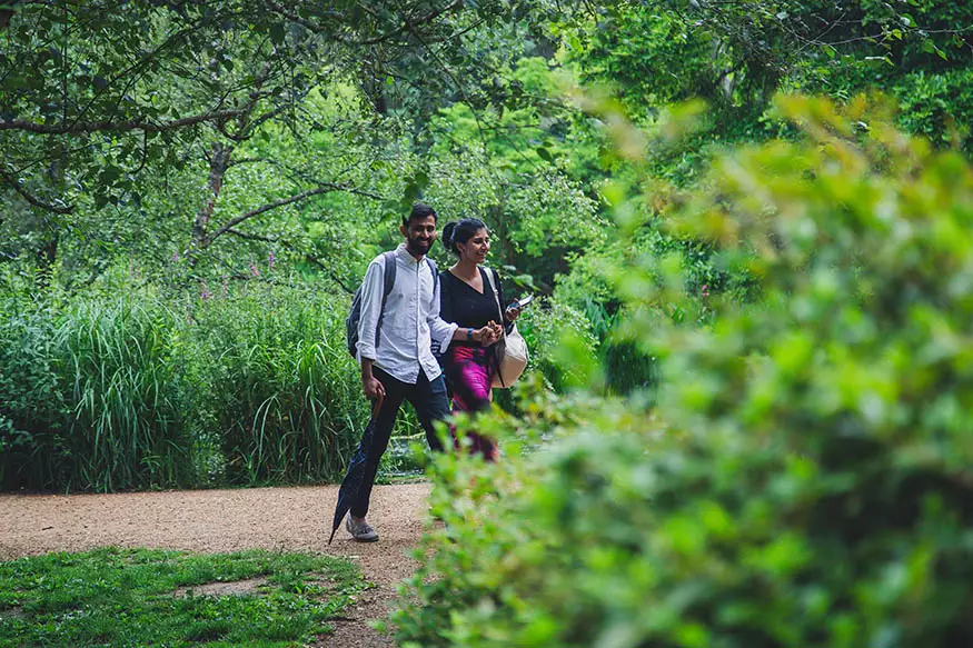 Proposal photography at Richmond Park
